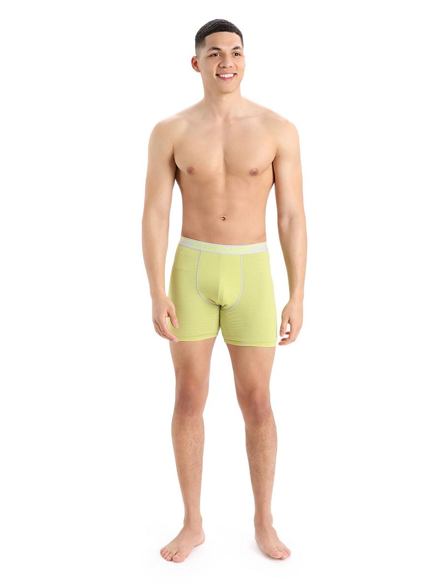 Men's Icebreaker Merino Anatomica Long Boxers Underwear Ether / Shine | CA 1664HAPK